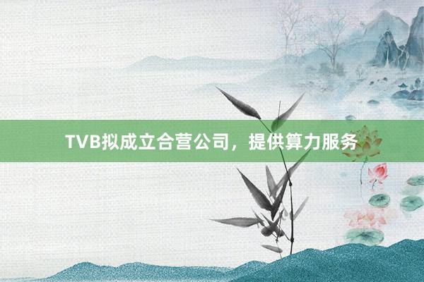 TVB拟成立合营公司，提供算力服务