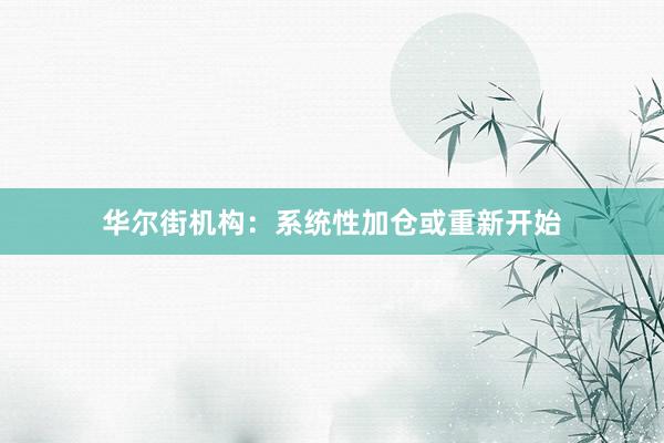 华尔街机构：系统性加仓或重新开始