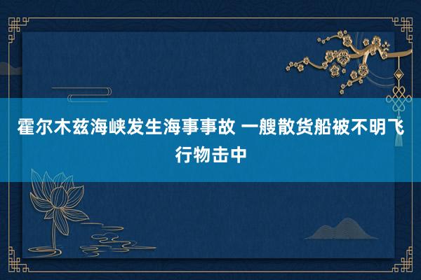 霍尔木兹海峡发生海事事故 一艘散货船被不明飞行物击中