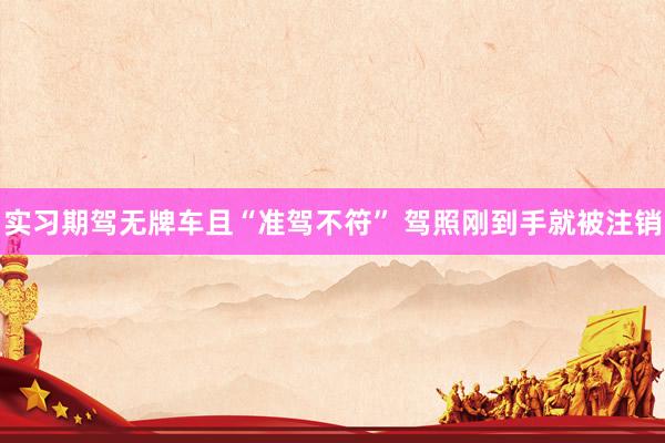 实习期驾无牌车且“准驾不符” 驾照刚到手就被注销