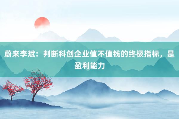 蔚来李斌：判断科创企业值不值钱的终极指标，是盈利能力