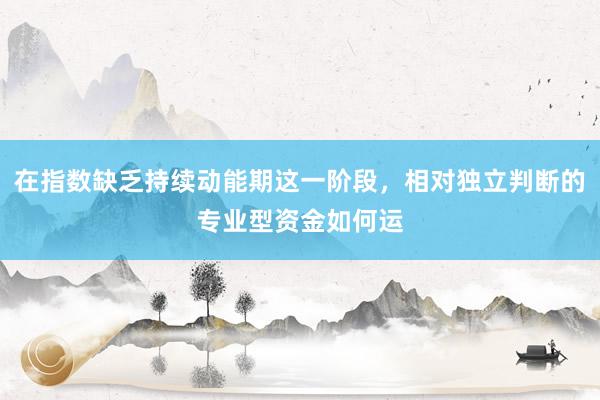 在指数缺乏持续动能期这一阶段，相对独立判断的专业型资金如何运