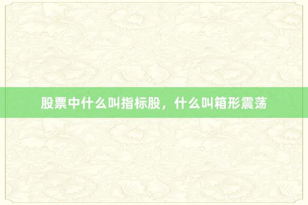 股票中什么叫指标股，什么叫箱形震荡
