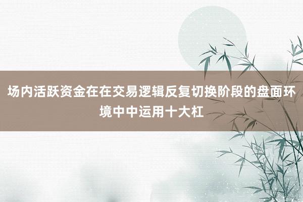 场内活跃资金在在交易逻辑反复切换阶段的盘面环境中中运用十大杠