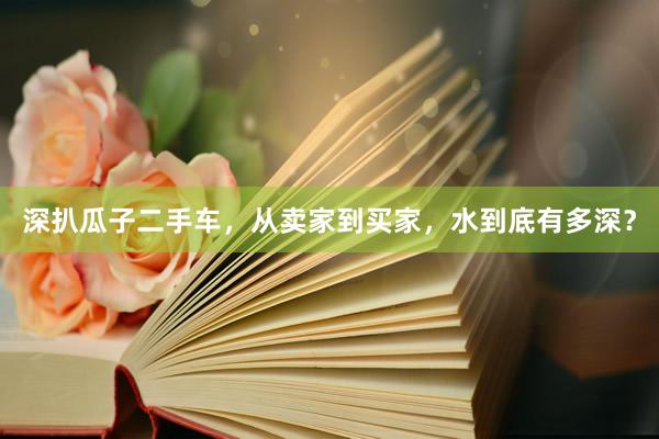 深扒瓜子二手车，从卖家到买家，水到底有多深？