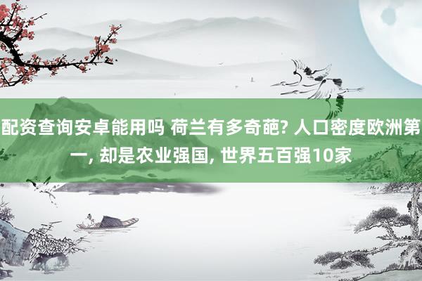 配资查询安卓能用吗 荷兰有多奇葩? 人口密度欧洲第一, 却是农业强国, 世界五百强10家