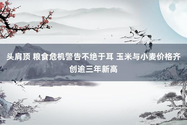 头肩顶 粮食危机警告不绝于耳 玉米与小麦价格齐创逾三年新高
