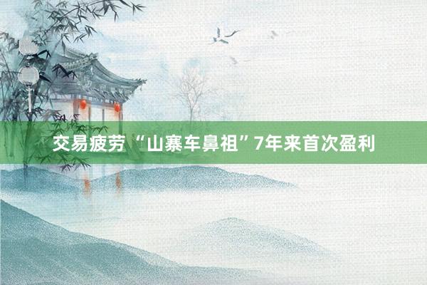 交易疲劳 “山寨车鼻祖”7年来首次盈利
