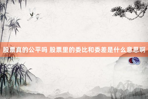 股票真的公平吗 股票里的委比和委差是什么意思啊