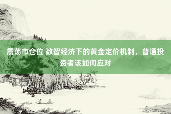 震荡市仓位 数智经济下的黄金定价机制，普通投资者该如何应对