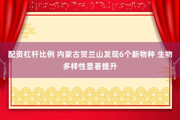 配资杠杆比例 内蒙古贺兰山发现6个新物种 生物多样性显著提升