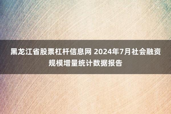 黑龙江省股票杠杆信息网 2024年7月社会融资规模增量统计数据报告