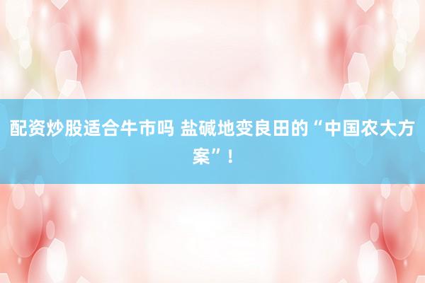 配资炒股适合牛市吗 盐碱地变良田的“中国农大方案”！
