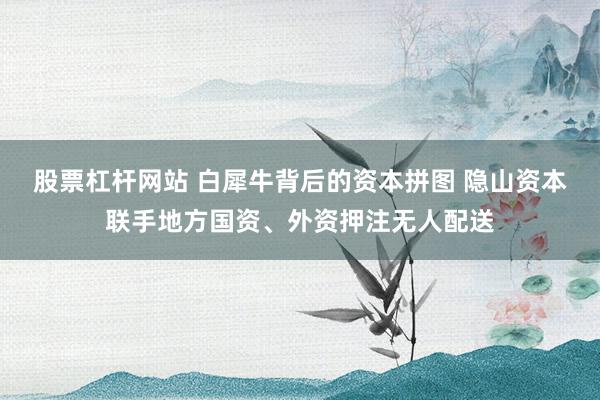股票杠杆网站 白犀牛背后的资本拼图 隐山资本联手地方国资、外资押注无人配送