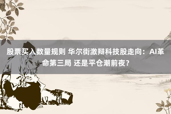 股票买入数量规则 华尔街激辩科技股走向：AI革命第三局 还是平仓潮前夜？