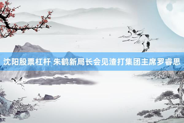 沈阳股票杠杆 朱鹤新局长会见渣打集团主席罗睿思