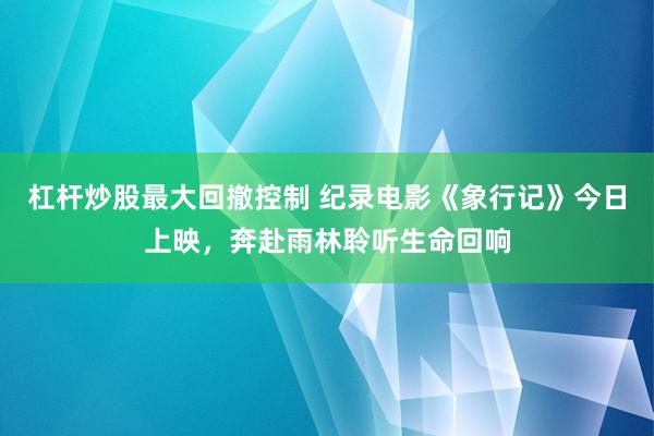 杠杆炒股最大回撤控制 纪录电影《象行记》今日上映，奔赴雨林聆听生命回响