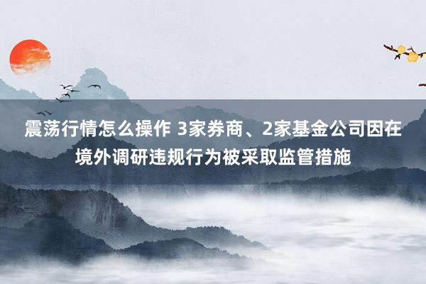 震荡行情怎么操作 3家券商、2家基金公司因在境外调研违规行为被采取监管措施