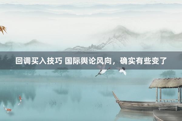 回调买入技巧 国际舆论风向，确实有些变了
